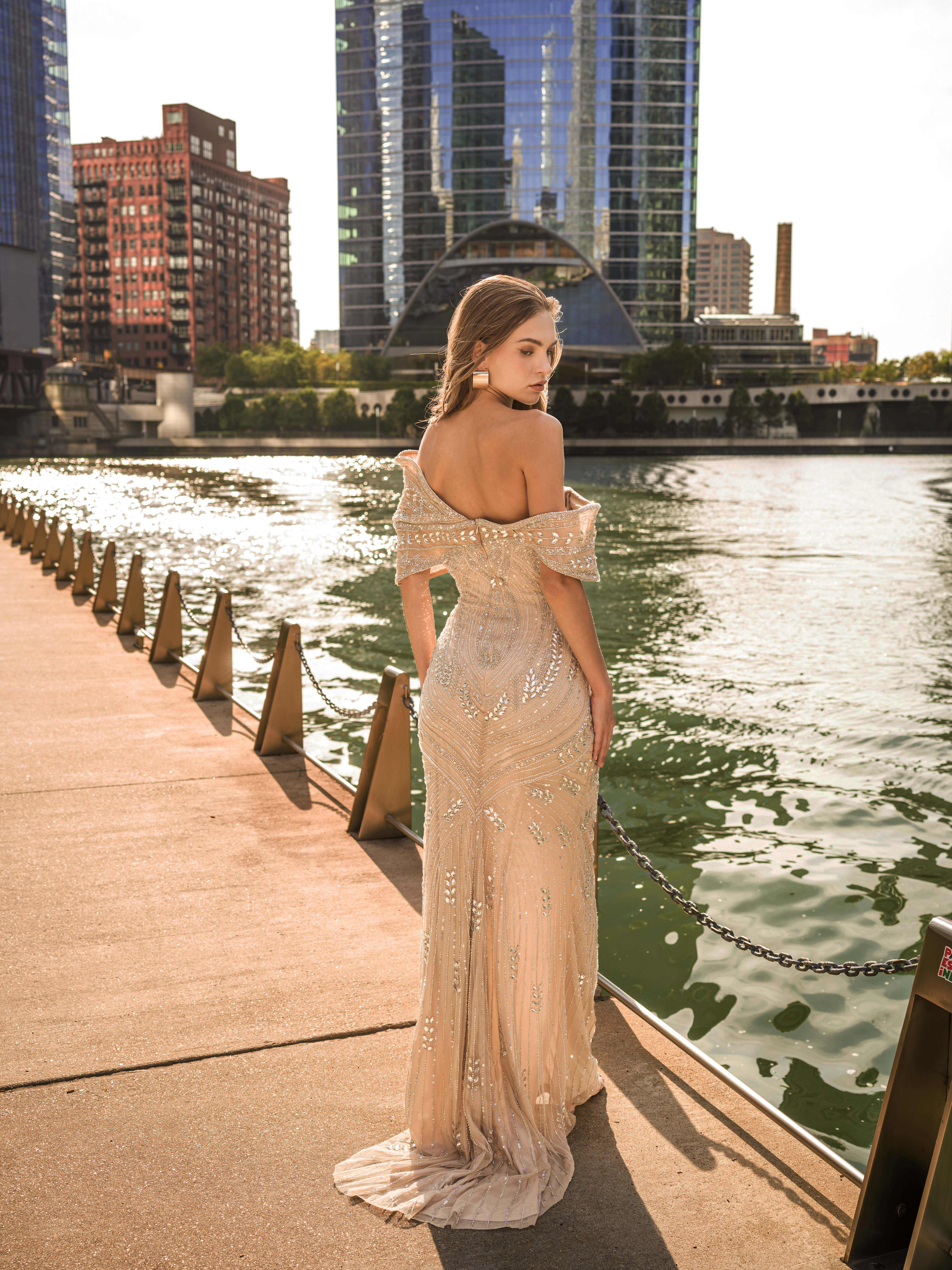 Dress Image