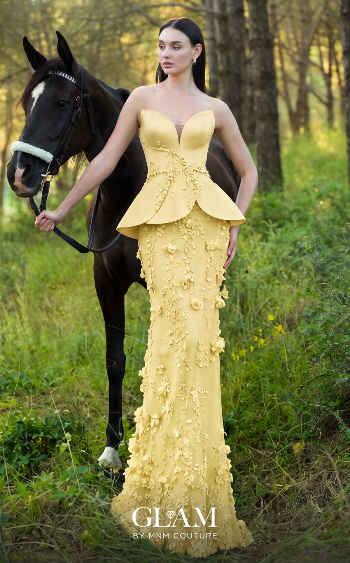 Dress Image